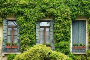 Read more about the article Sanierung wirtschaftlicher als Neubau?